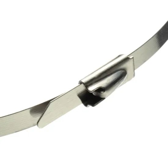 SS cable ties 4.6*1000mm