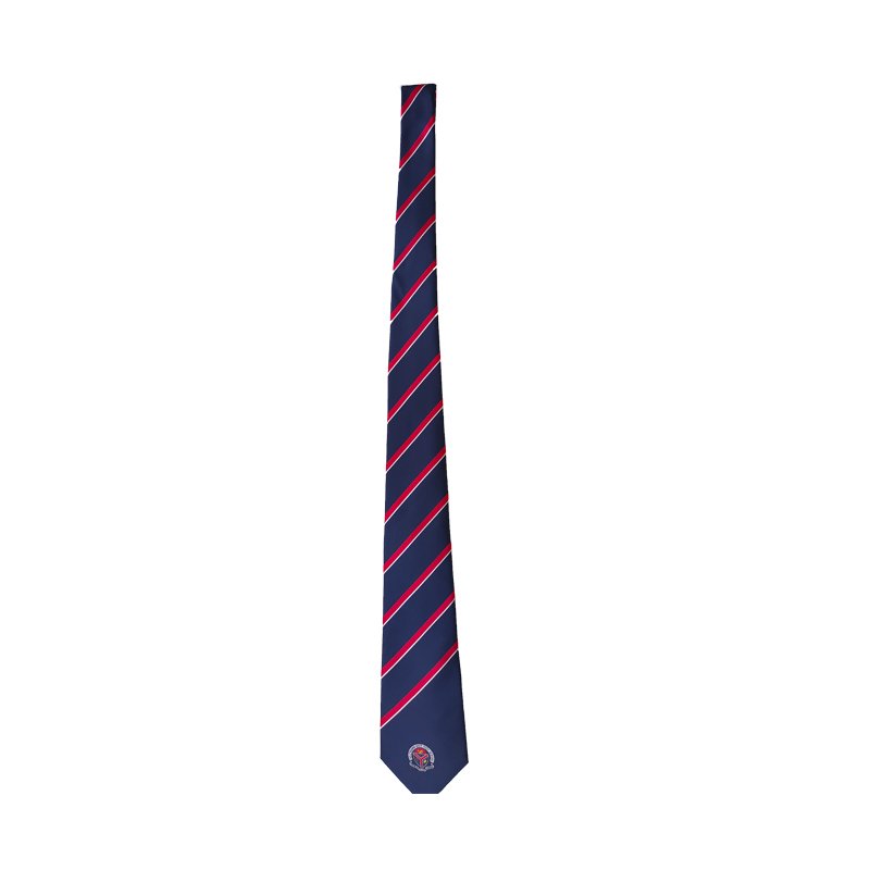 High Quality Custom logo Polyester Fabric Necktie Neck Ties School Tie