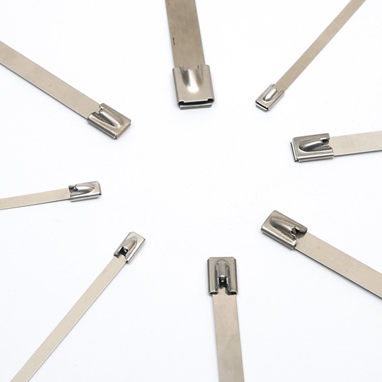 Jiaen Free Sample Stainless Steel Cable Ties High Wire Ties Quality 4.6*300mm SS304 SS316 Stainless Steel Zip Ties