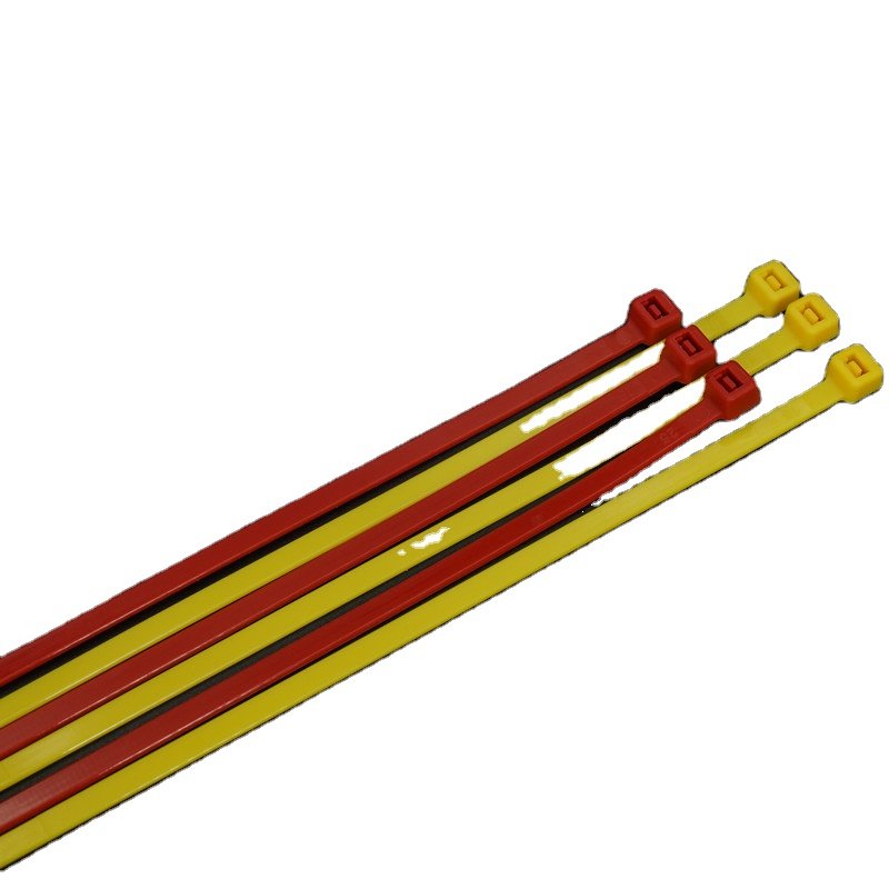 hot selling Adjustable Buckle Loosens Nylon Zip Ties Reusable cable tie plastic clamp