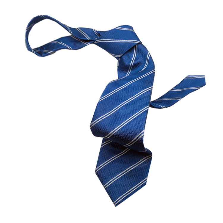 Fashion Wholesale handmade 100% Mulberry silk tie elegant Neckwear Men's Silk Ties