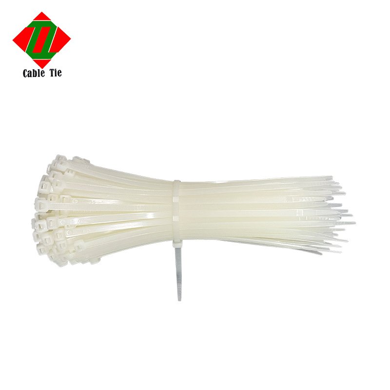 Low Temperature Resistance Nylon Cable Zip ties 4*250mm 1000 Pieces Per Bag