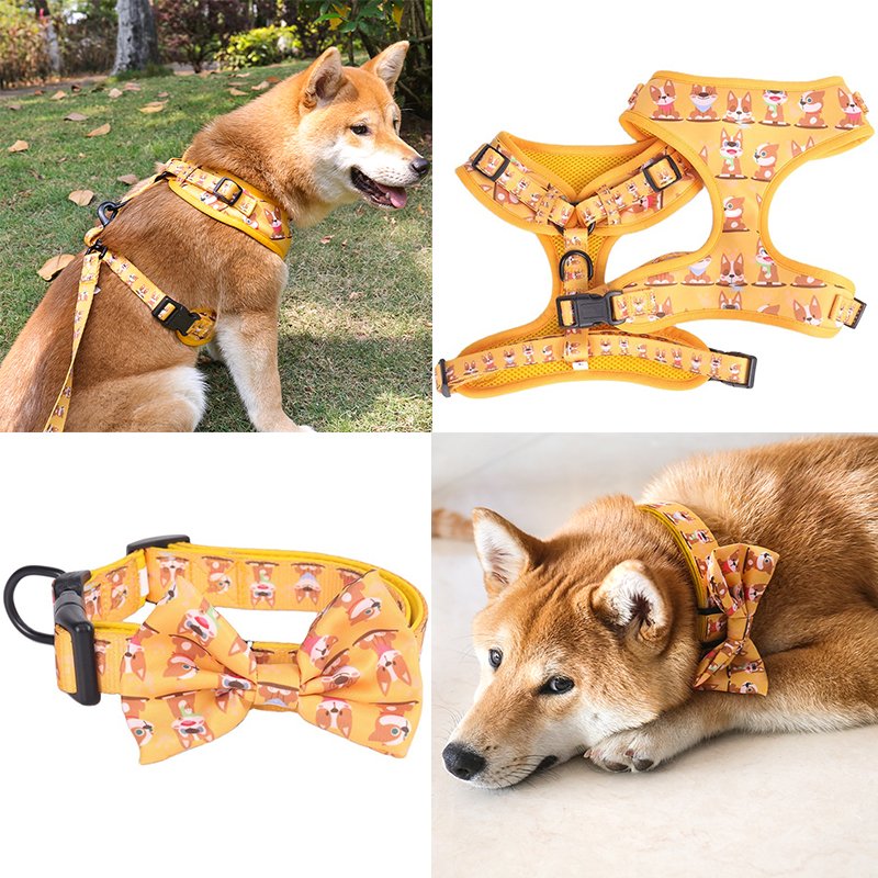 2024 Hot Seller Custom dog harness thanksgiving Pet Vest Adjustable Designer Dog Harness Leash & Collar Set