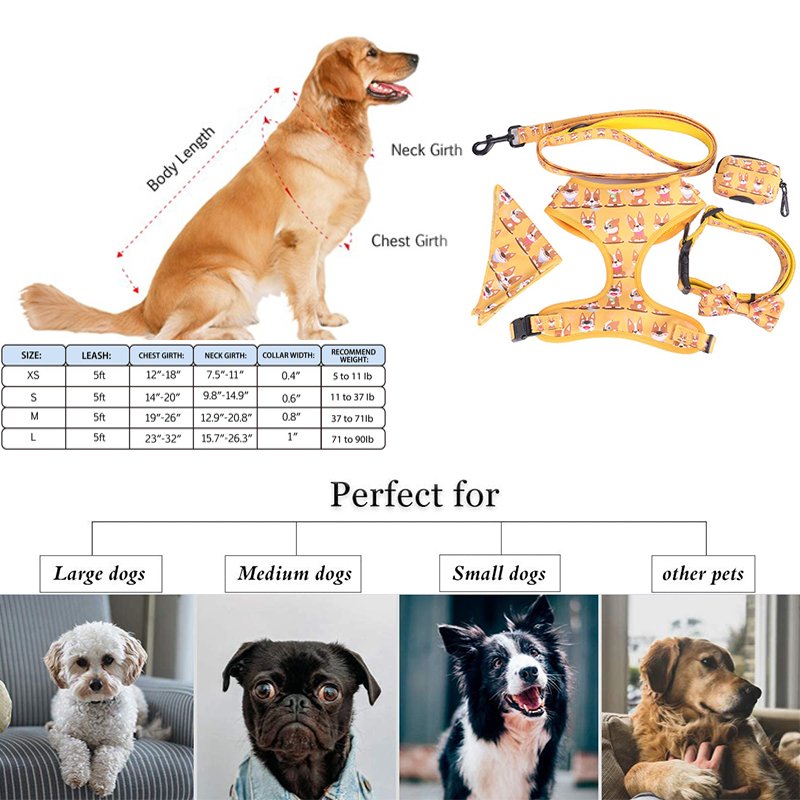 2024 Hot Seller Custom dog harness thanksgiving Pet Vest Adjustable Designer Dog Harness Leash & Collar Set