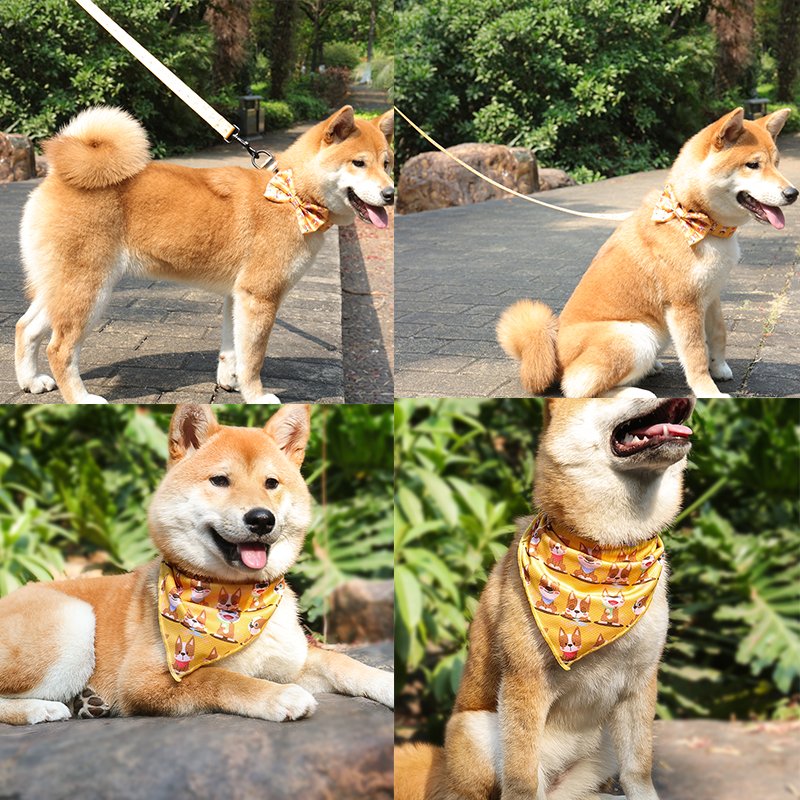 2024 Hot Seller Custom dog harness thanksgiving Pet Vest Adjustable Designer Dog Harness Leash & Collar Set