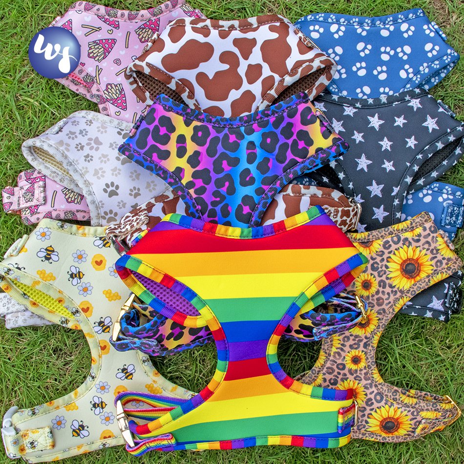 Top Selling Custom Design Dog Harness Suit Bow Tie Collar Bandana and Leash Poop Bag Dispenser Dog Set