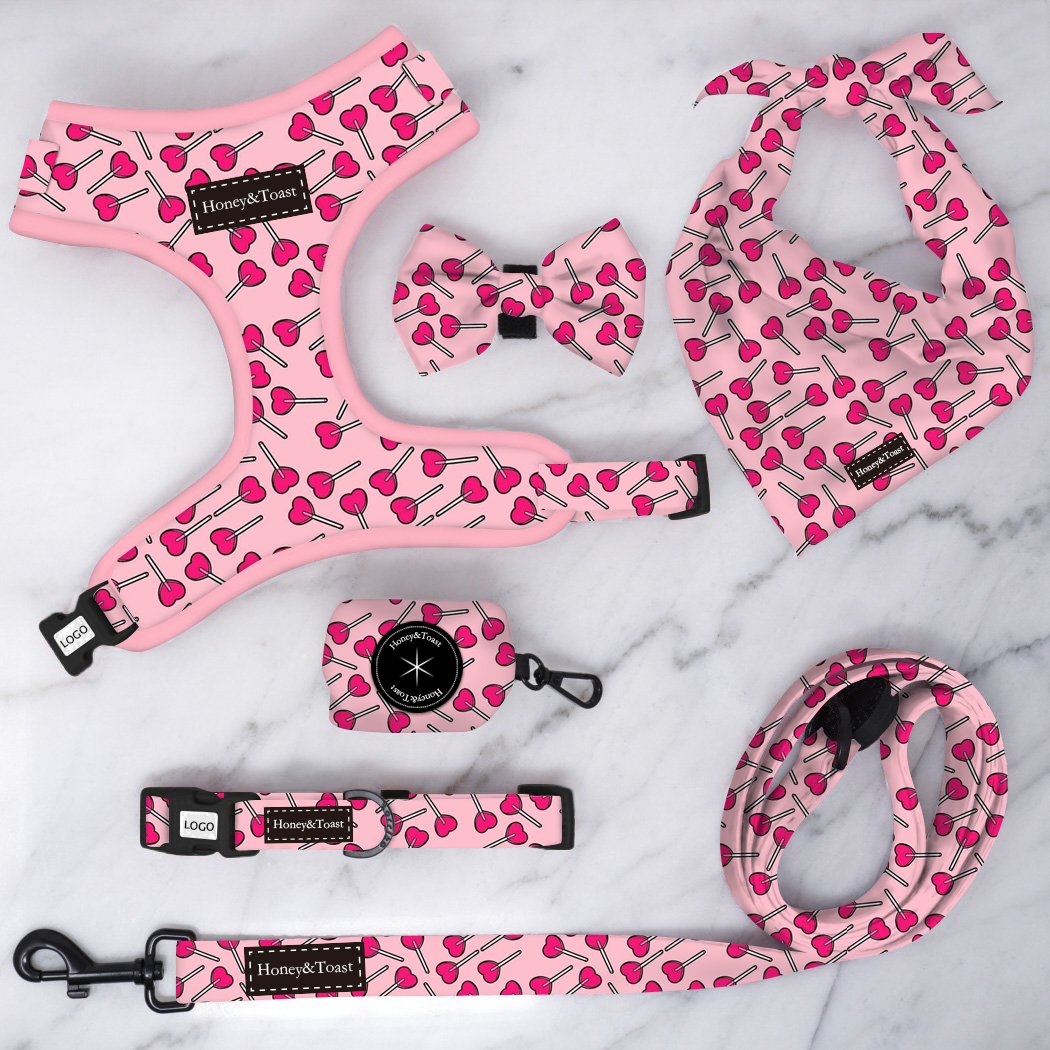 Top Selling Custom Design Dog Harness Suit Bow Tie Collar Bandana and Leash Poop Bag Dispenser Dog Set