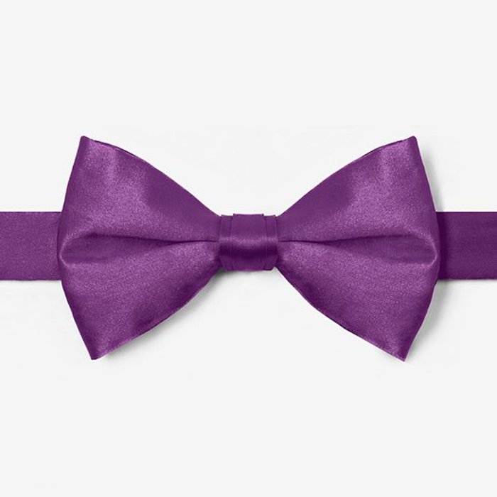 Wholesale cheap price boys decoration silver solid color bow tie