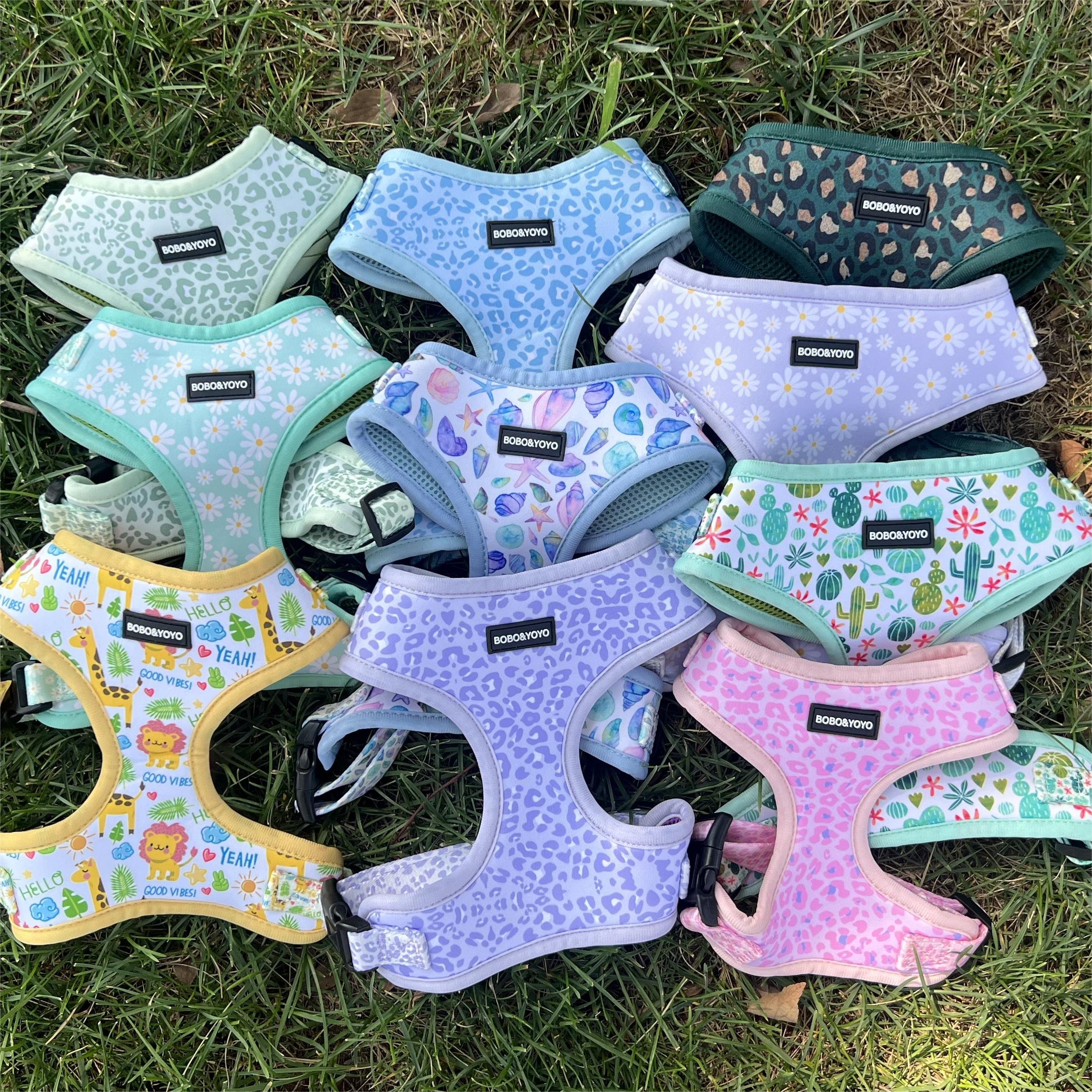 2024 Luxury Designer Custom Print Design Logo Personalized No Pull Neoprene Pet Cat Dog Harness Leash Lead Collar Set and Collar