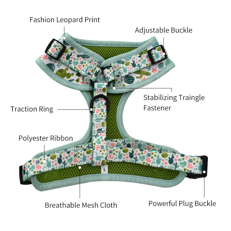 2024 Luxury Designer Custom Print Design Logo Personalized No Pull Neoprene Pet Cat Dog Harness Leash Lead Collar Set and Collar