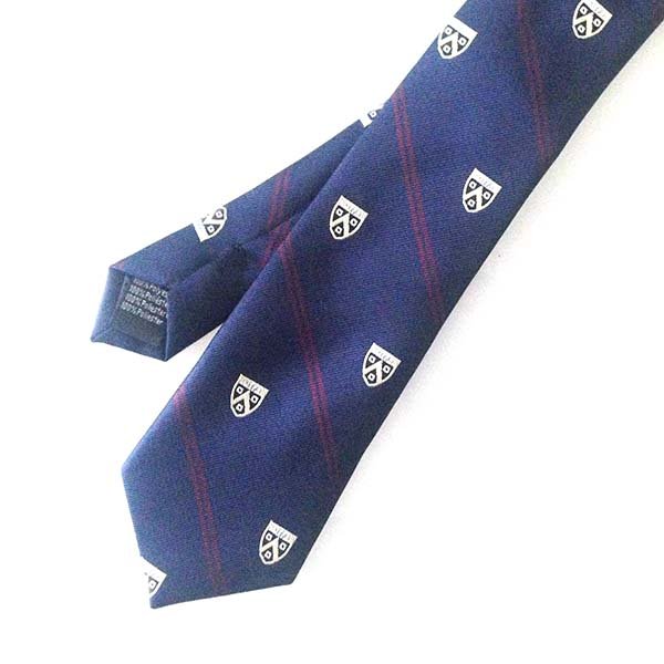 Design Your Own Fraternity Pattern Neckties Black Blue Striped Silk Men Logo tie