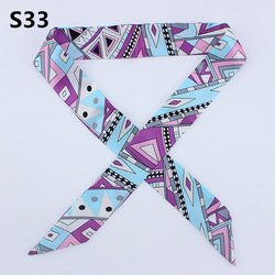 S33