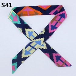 S41