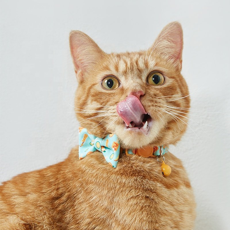 UFBemo new design style personalized design safety buckle separation belt bell pet collar cat collar