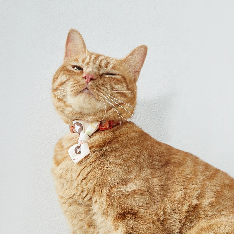 UFBemo new design style personalized design safety buckle separation belt bell pet collar cat collar