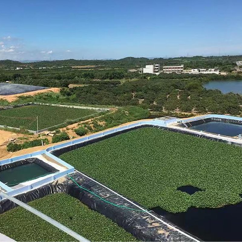 Geomembrane fish pond liner 0.5mm-1.0mm pond liner polyethylene HDPE geomembrane 1.5mm 2.0mm landfill sewage pond geomembrane
