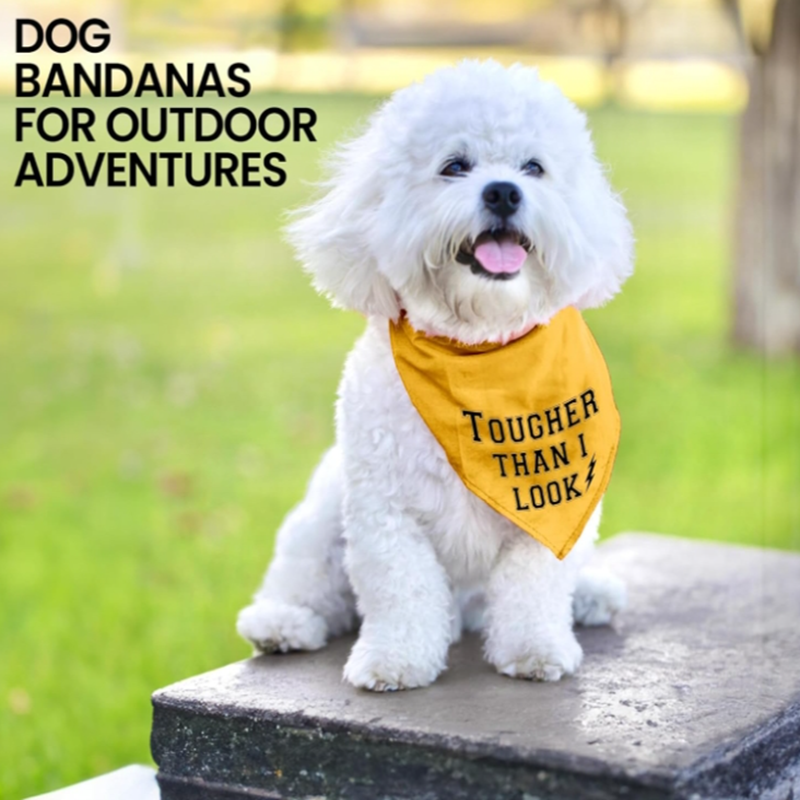 Unisex Adjustable Dog Bandana Scarf Handkerchief Triangle Dog Bib Yellow 'Born Run' Printed Cute Washable Pet Apparel Accessory