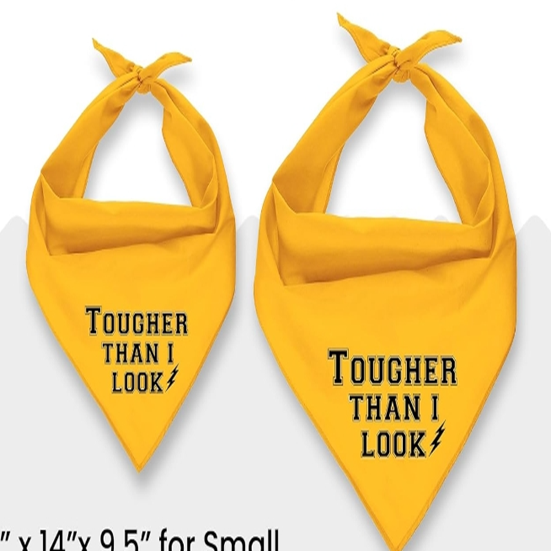 Unisex Adjustable Dog Bandana Scarf Handkerchief Triangle Dog Bib Yellow 'Born Run' Printed Cute Washable Pet Apparel Accessory