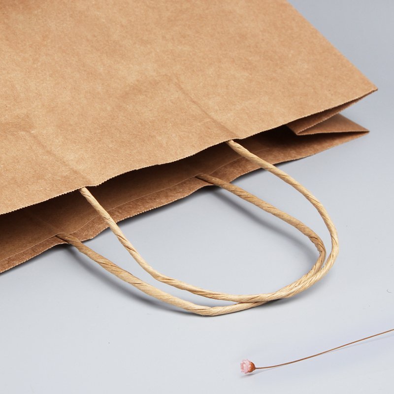 HDPK Eco-friendly Versatile Nature Color White or Brown Kraft Paper Bag with Twisted Paper Rope Handle for Promotional Items