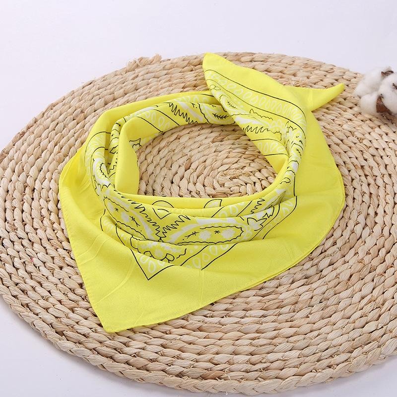 22*22inch Bandannas Cheap 100% cotton multifunctional neck paisley bibs Handkerchief bandanas
