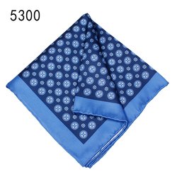 5300