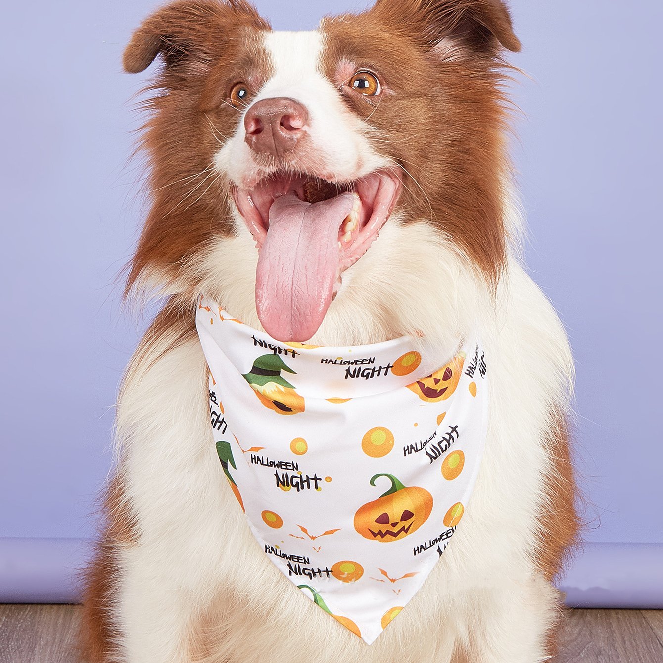 New Pet Triangle Scarf Halloween Drool Bib Single-Layer Scarf Dog Bandana Accessories