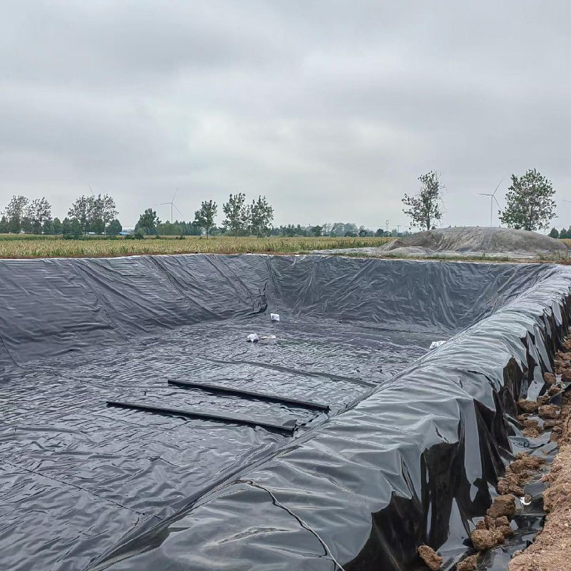 Price discount: HDPE high-density polyethylene geomembrane pond lining 2mm landfill biological digestion tank lining geomembrane