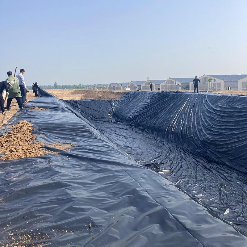 Price discount: HDPE high-density polyethylene geomembrane pond lining 2mm landfill biological digestion tank lining geomembrane