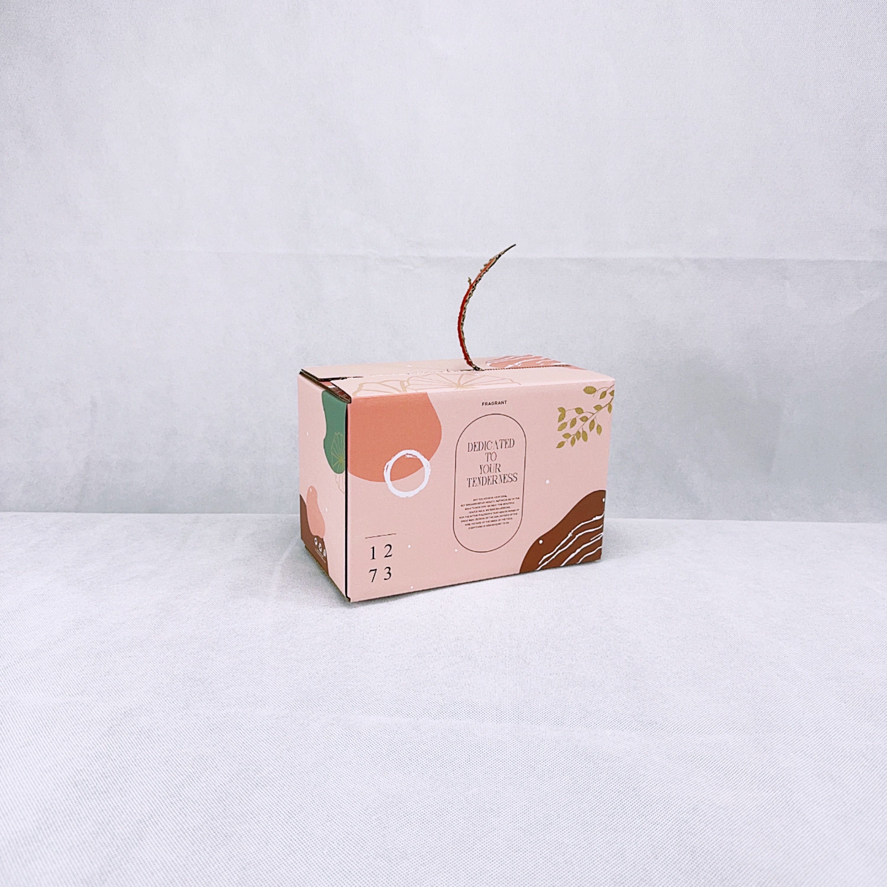 Custom Mailer box with Tear strip self seal stick packaging biodegradable corrugated shipping carton zipper postal paper boxes