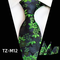 TZ-M12