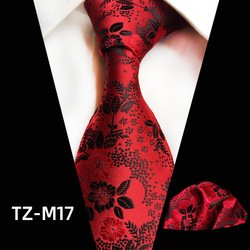 TZ-M17