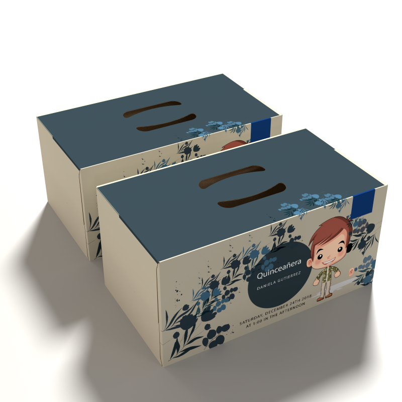 Customized Design Print Suitcase For Diaper Packaging Box Baby Clothes Disposable Diaper Boxes For Children Baby Products