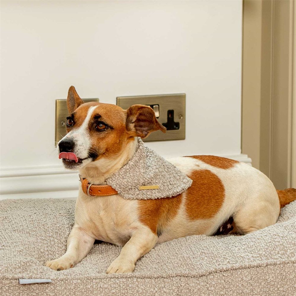 Qiqu Pet supplies New Designer luxury Winter Bandanas for dogs pet neckerchief puppy warm Bib for small middle large dogs