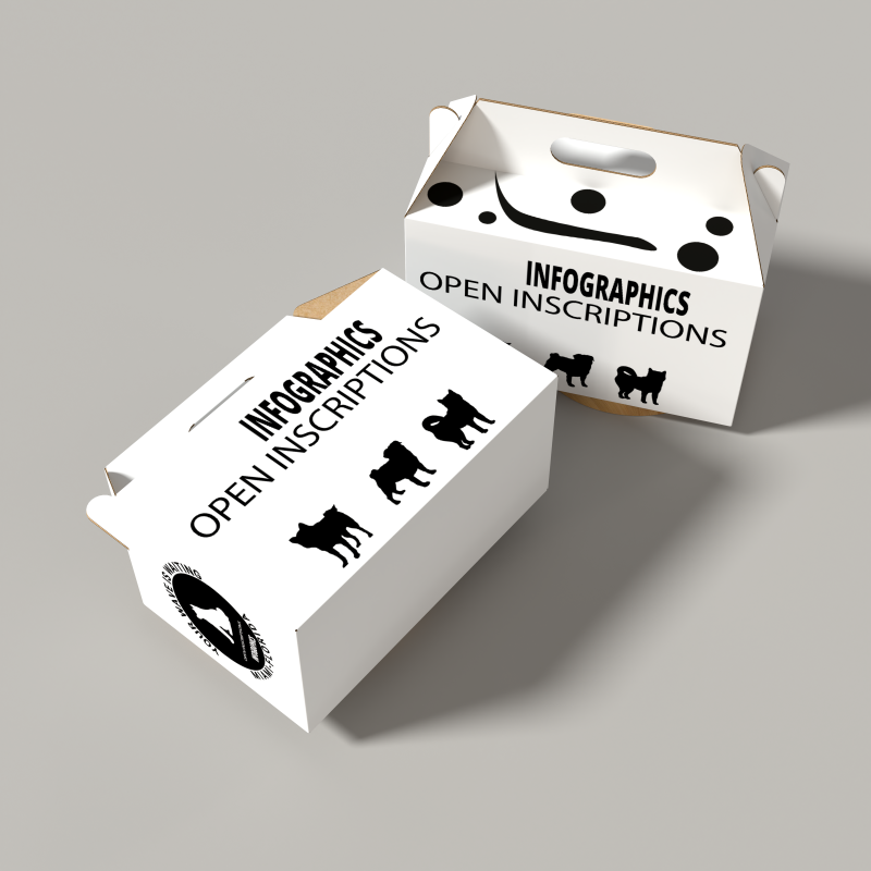 Animal Transport Soy Ink Box Pet Carrier Cardboard Box Pets Carrier Carton Corrugated Durable Rigid Paper Box