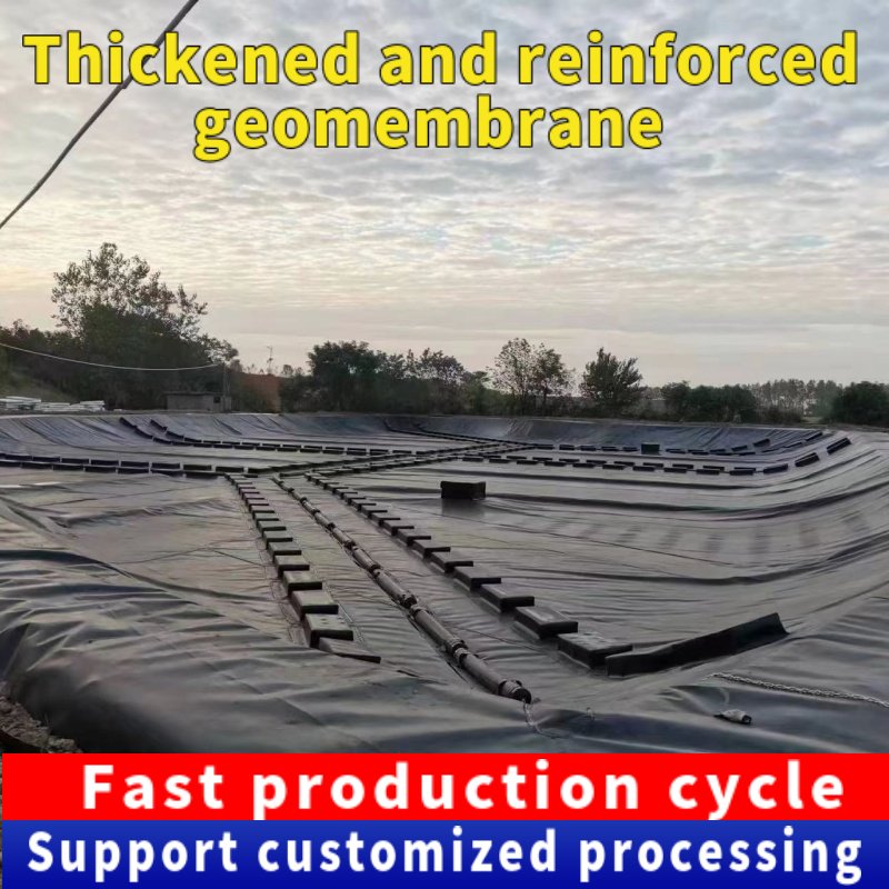 Modern design1mm thick HDPE geomembrane, 2mm thick plastic board for mining, fish tank pond lining,aquaculture geomembrane liner