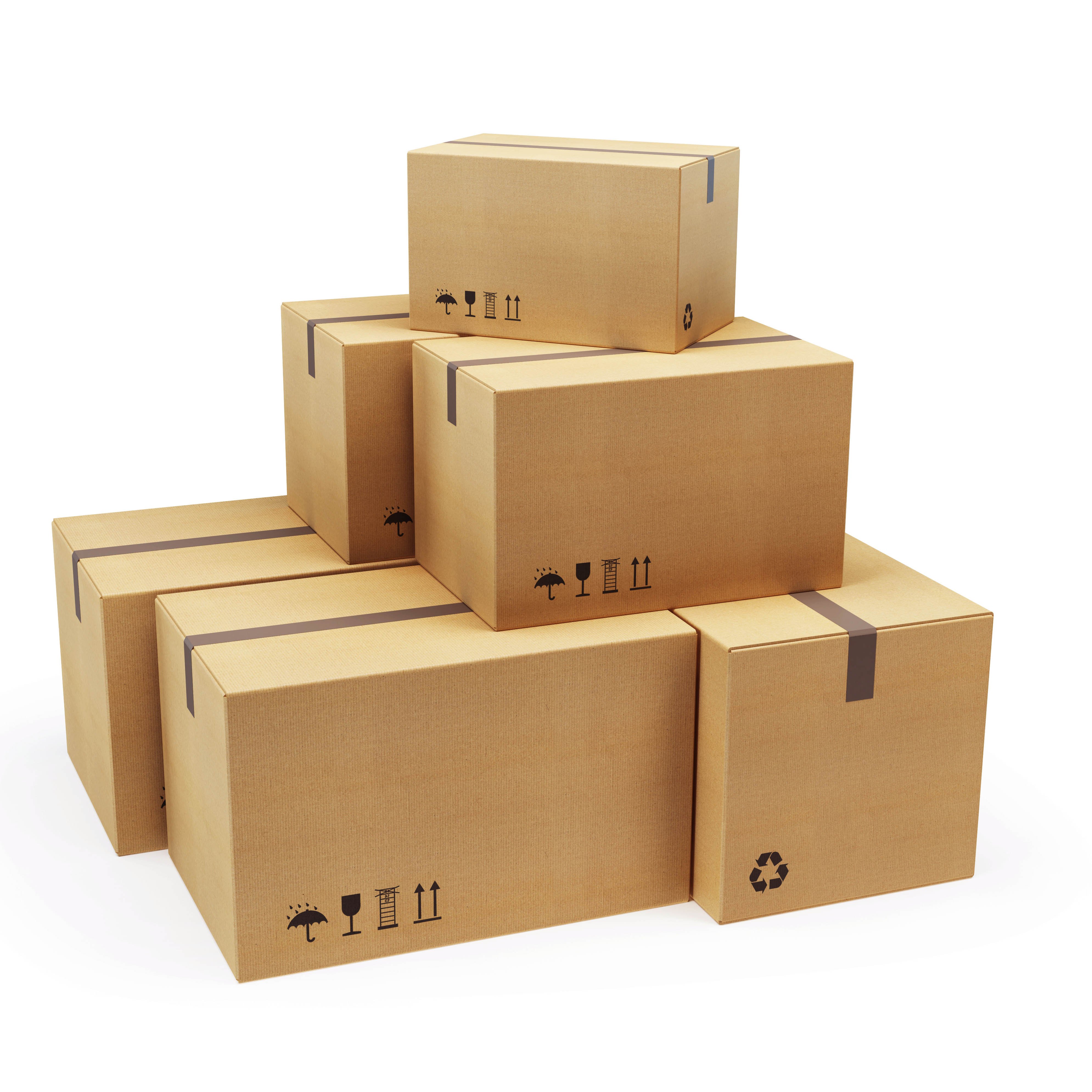 Forests Custom Printing Cardboard Packaging Mailing Moving Shipping Boxes Corrugated Box Carton For Shipping