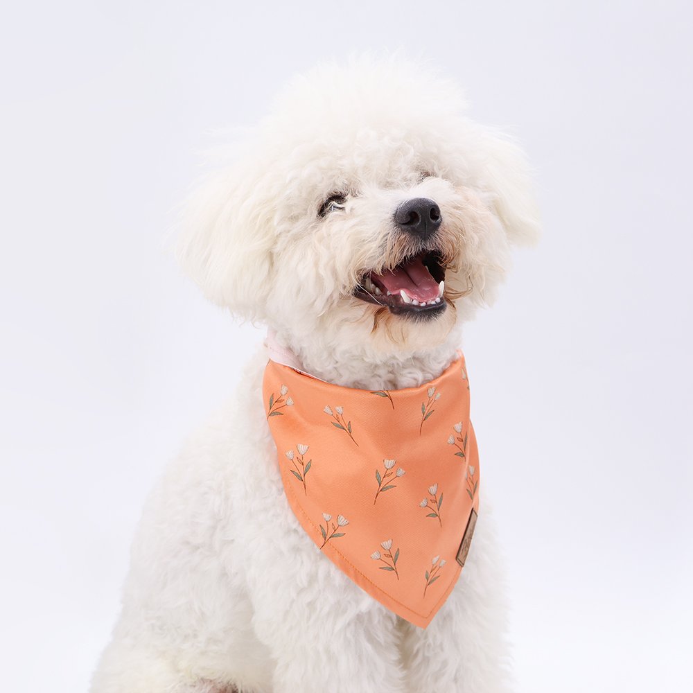 Wholesale Multiple Sizes Cotton Polyester Triangle Collar Bandana Dog Scarf Bandanas Bibs For Dogs Puppies