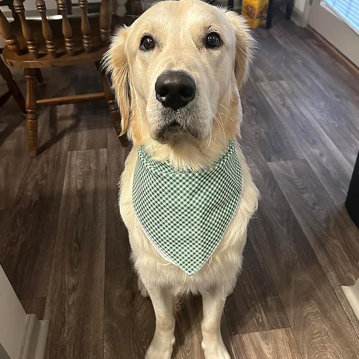 manufacturer wholesale Green Pet Handkerchief for Small Medium Large Dogs Dog Lover Gift Pet Accessories