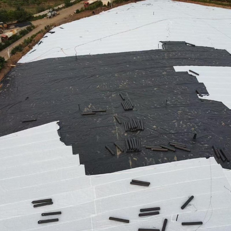 1.0mm HDPE geomembrane pond liner HDPE UV resistant 1.5mm HDPE pond liner 45mil geomembrane price outdoor pond geomembrane liner