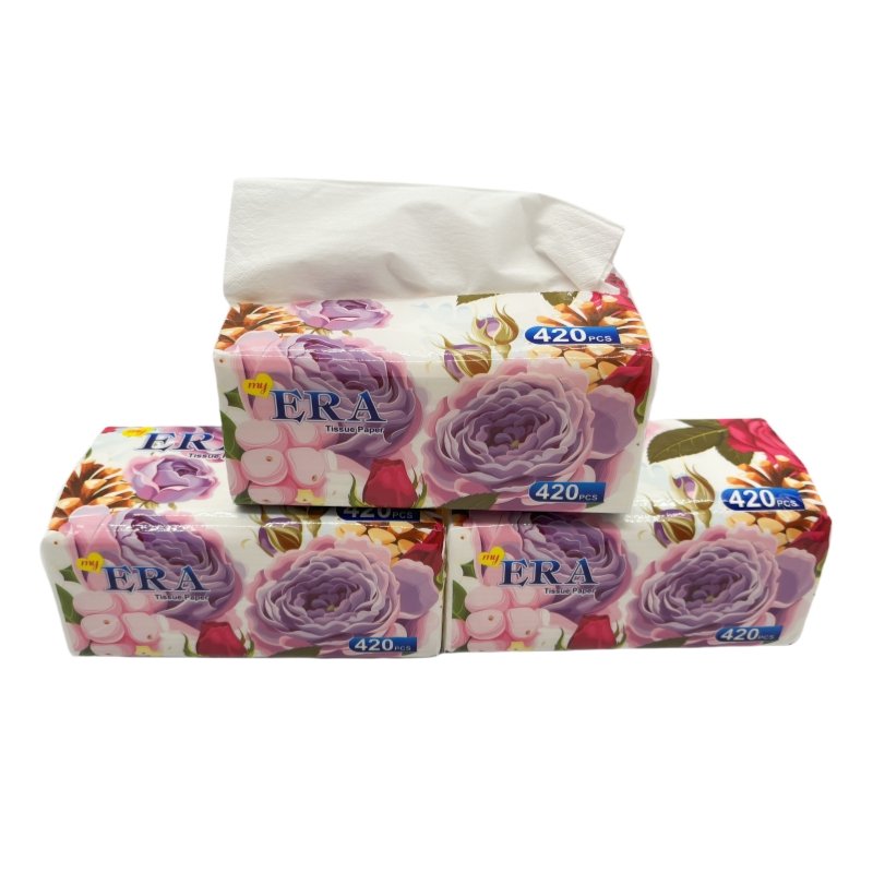 China paper factory wholesale 2ply tissue virgin wood 3 layer custom printed ERA brand tissue paper
