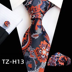 TZ-H13