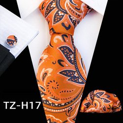 TZ-H17