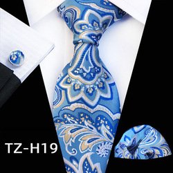 TZ-H19