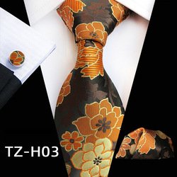 TZ-H3