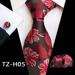 TZ-H5