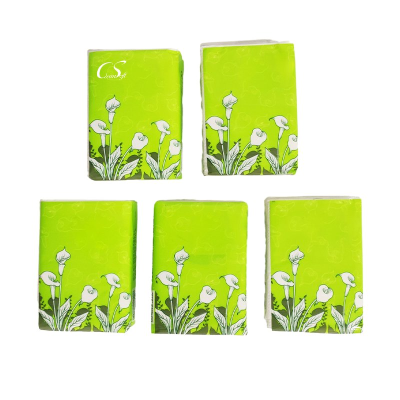 China Personalized Printed thickening Biodegradable Convenient Ultra Soft pocket tissue paper