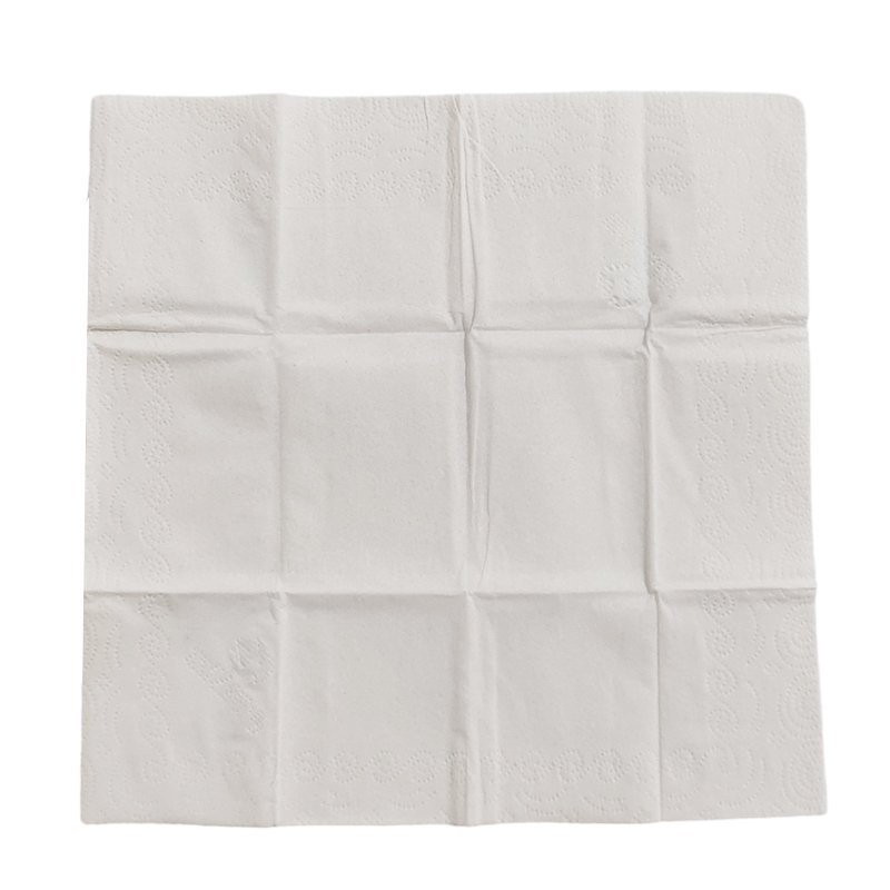China Personalized Printed thickening Biodegradable Convenient Ultra Soft pocket tissue paper