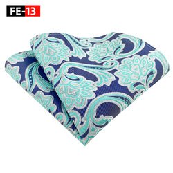 FE-13