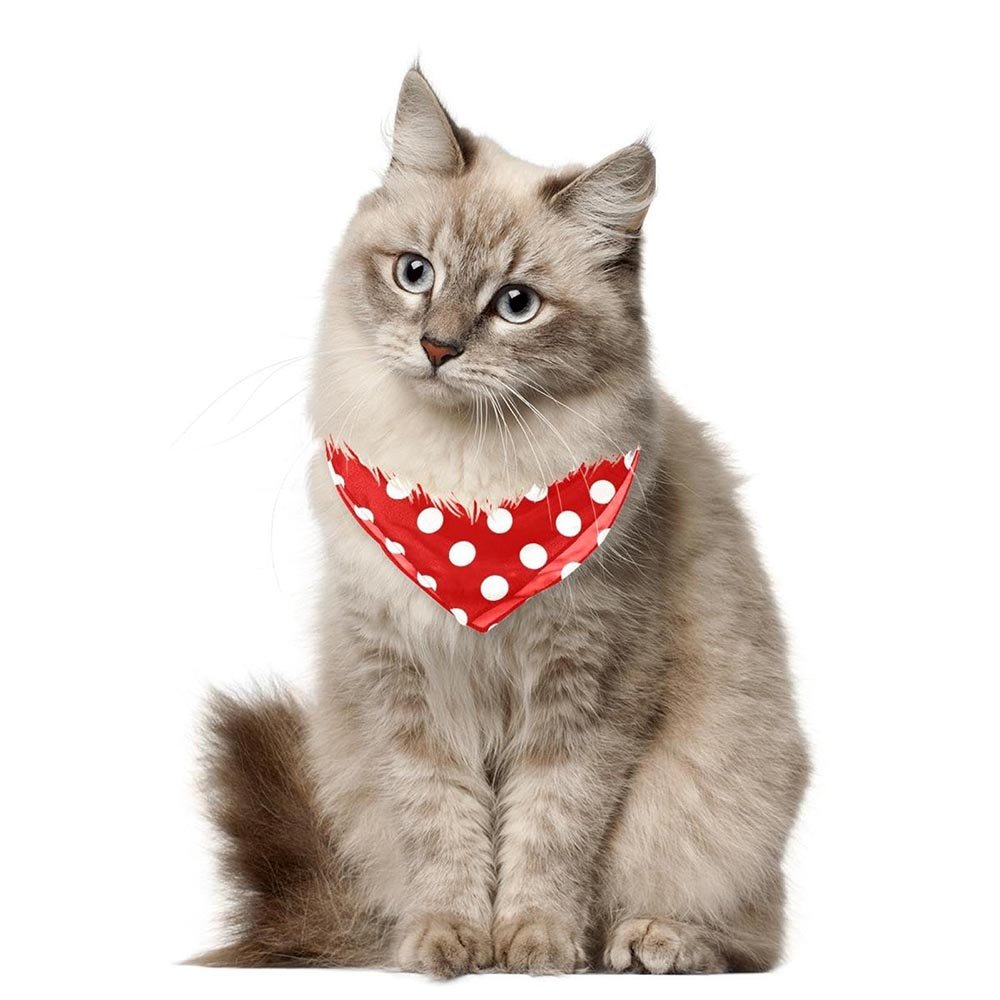 Qiqu Pet supplies New DesignerDog Bandanas Triangle Pet Scarf Thin Chiffon Fabric Bandanas for dogs Polka Dot Modern Vintage