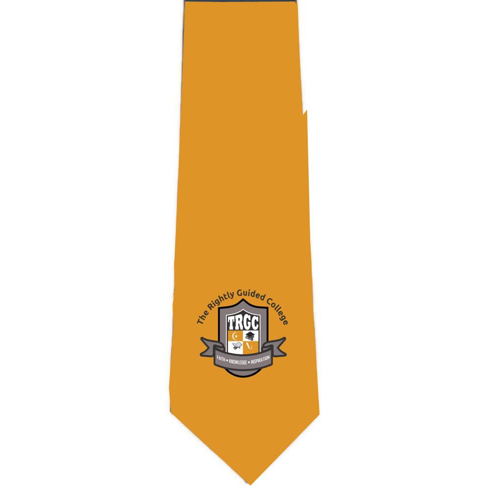 Customize High Quality School Logo Tie Company Uniform Logo Neck Tie with Different Colors for Choice